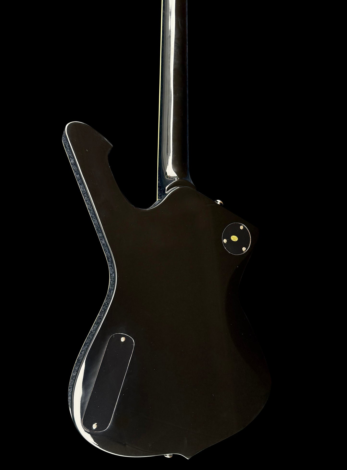 NEW Firefly FFIB Electric Guitar (Black Color)