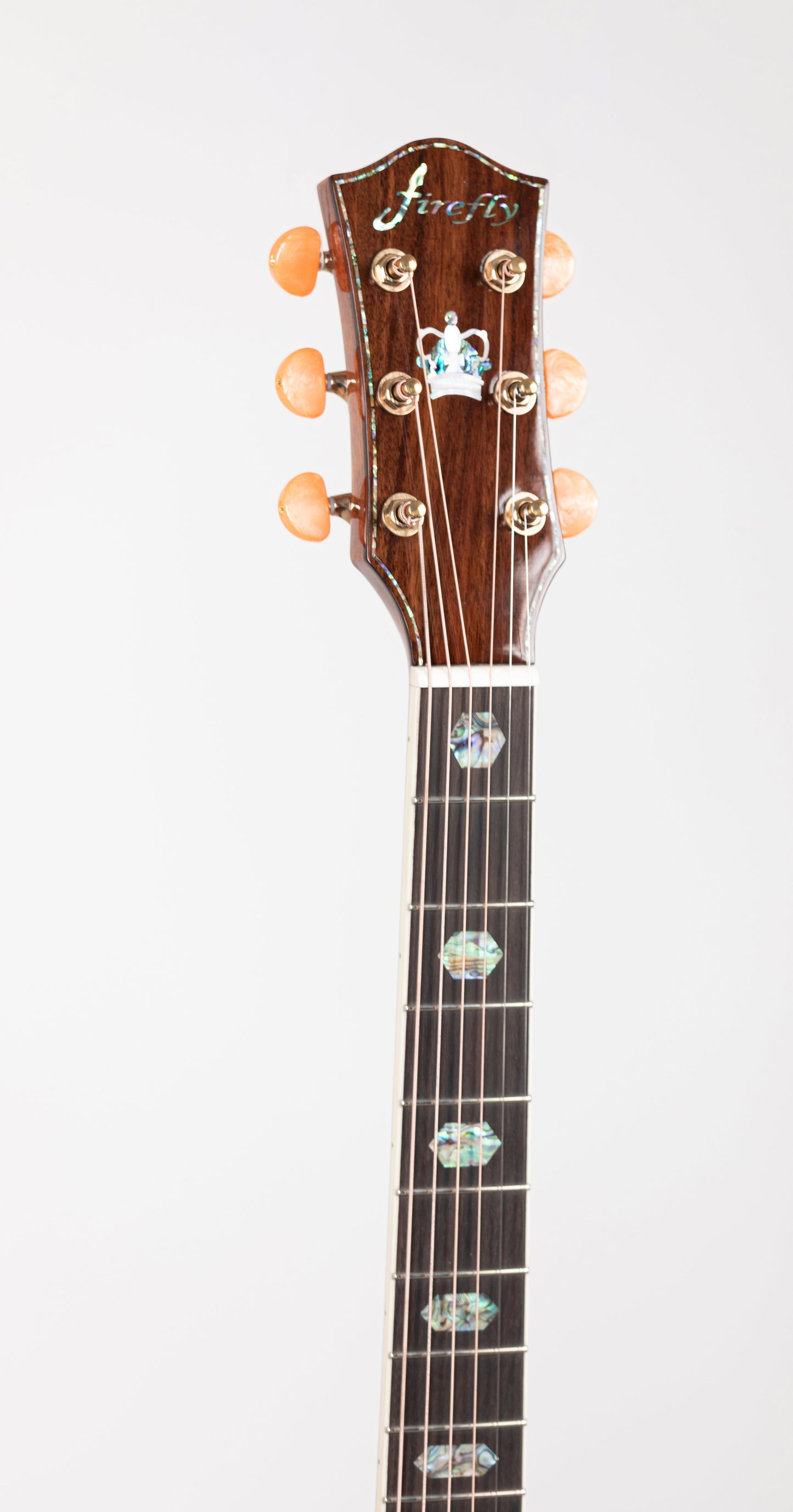 Firefly New GD45-E Full Size Rosewood Back&Side Acoustic guitar